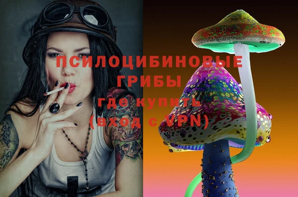 мдпв Арсеньев