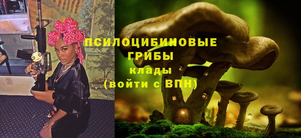 мдпв Арсеньев