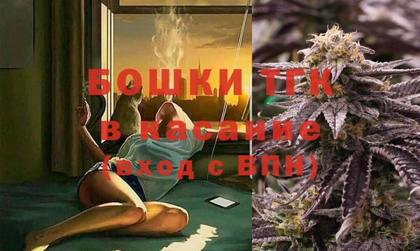 эйфоретик Аркадак